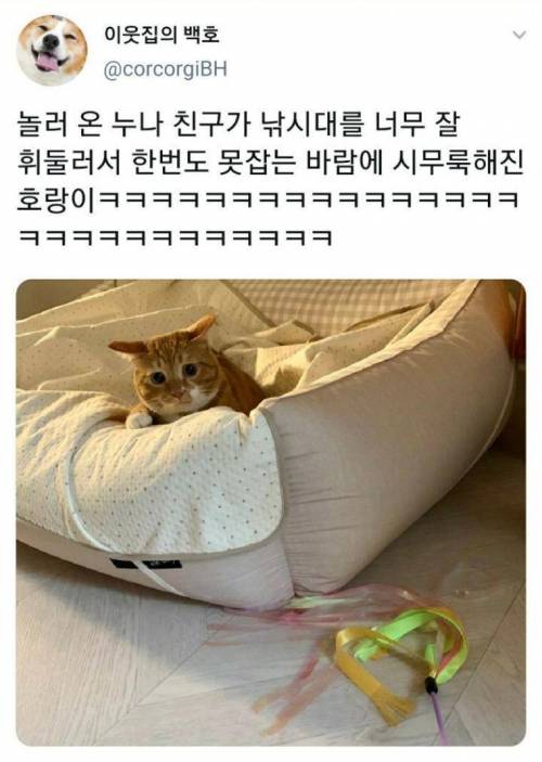 시무룩해진 호양이.jpg