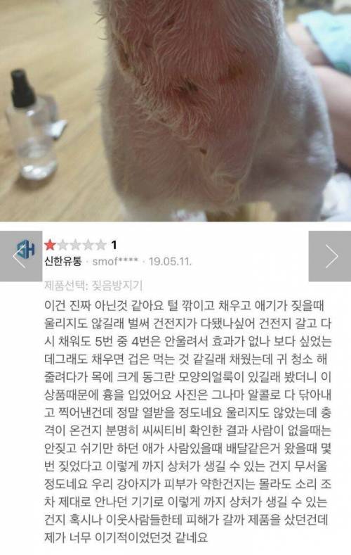 [스압] 반려견 전기충격기.jpg