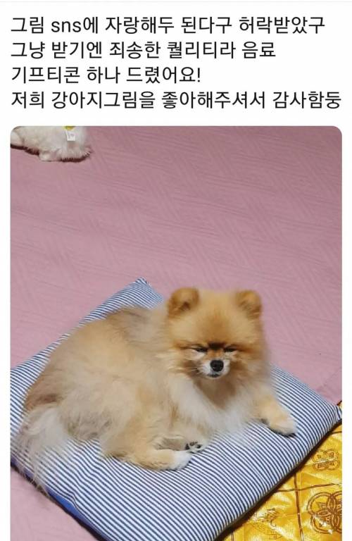 당근마켓의 은둔 고수.jpg