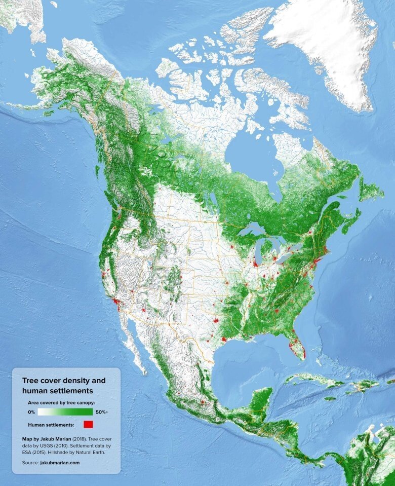 전세계 삼림 밀집도.jpg