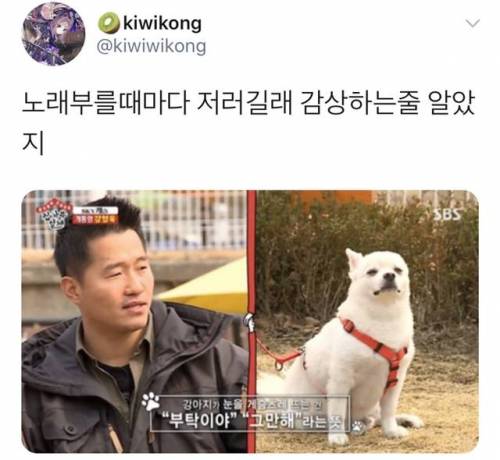 노래 부를 때마다 강아지가 눈을 게슴츠레 뜨길래