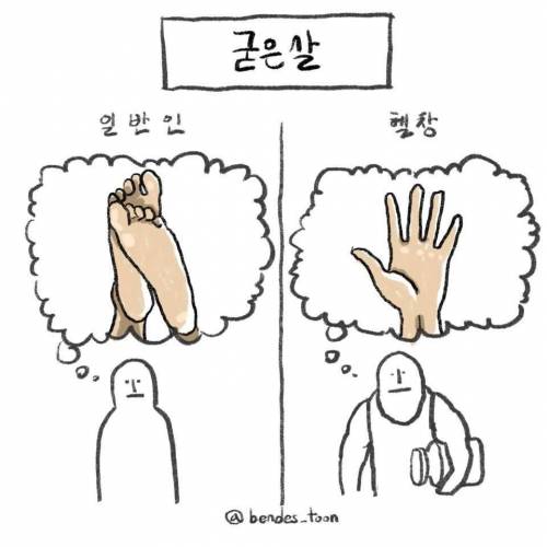 [스압] 일반인과 헬창의 시각 차이.jpg