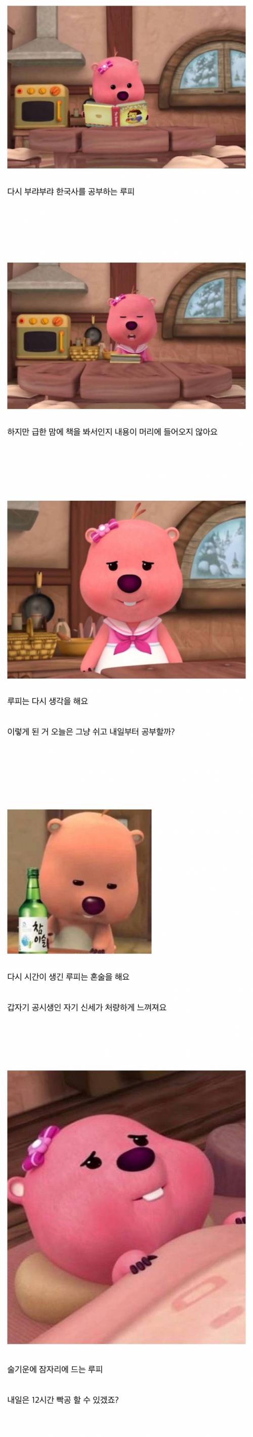 [스압] 공시생 루피의 하루.jpg