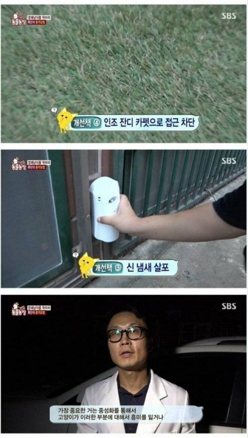 [스압] 대장 고양이의 최후.jpg