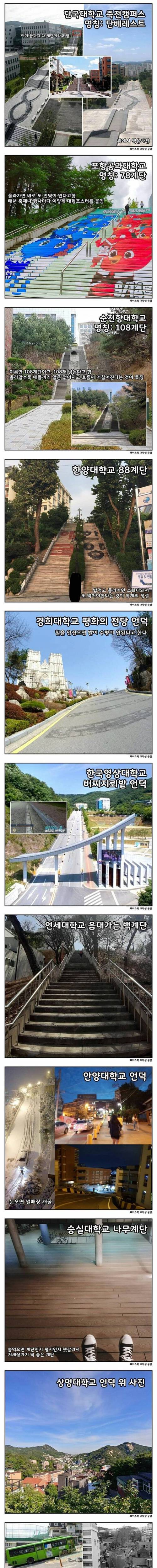 [스압] 언덕이 유명한 대학교들.jpg