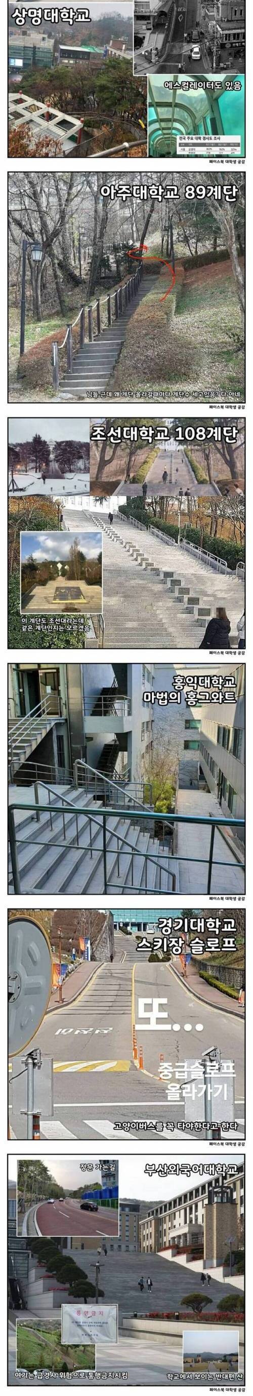 [스압] 언덕이 유명한 대학교들.jpg