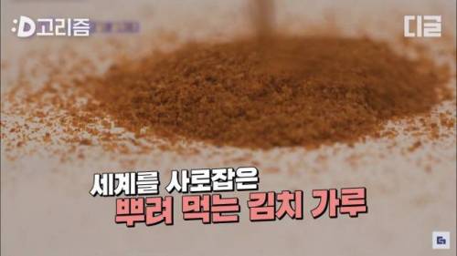 [스압] 유퀴즈에 나온 아마존 완판 김치가루.jpg