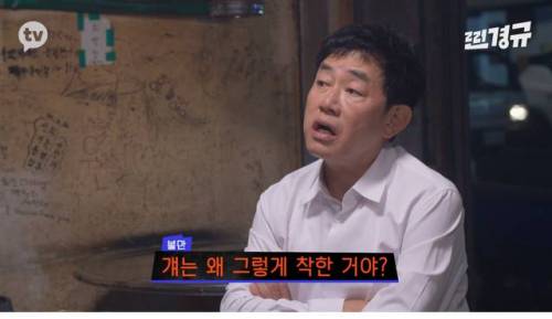 [스압] 이경규가 생각하는 유재석의 문제점.gif