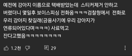 반려견 키울 때 조심해야 하는 것.jpg