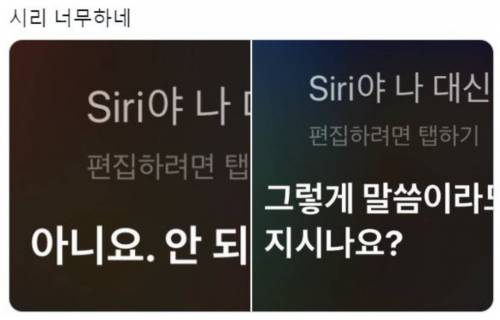 시리 너무하네.jpg