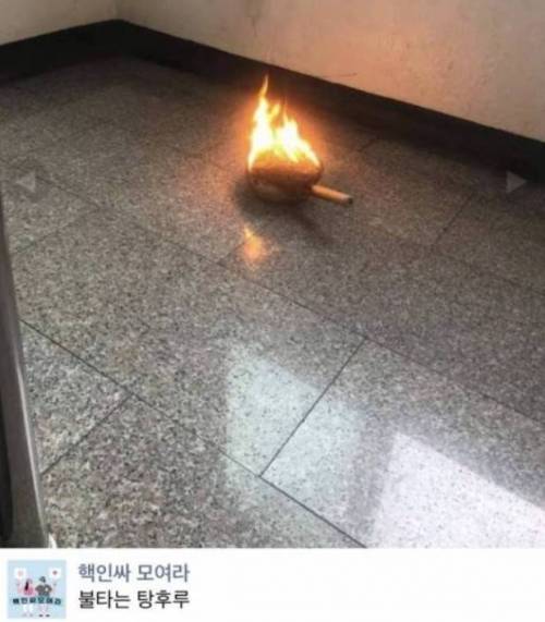 [스압] 천하제일 망한 요리 대회.jpg