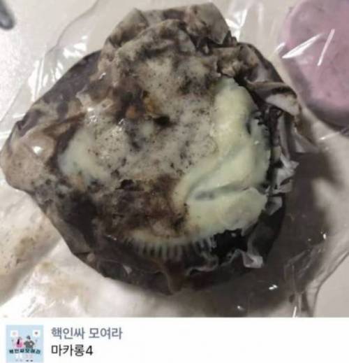 [스압] 천하제일 망한 요리 대회.jpg