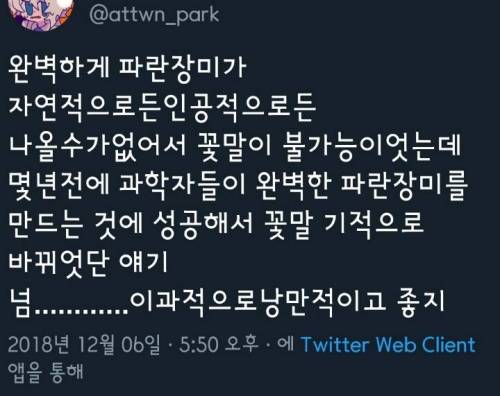 이과적으로 낭만적인 얘기..jpg