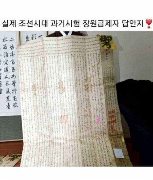 실제 조선시대 과거시험 장원급제 답지