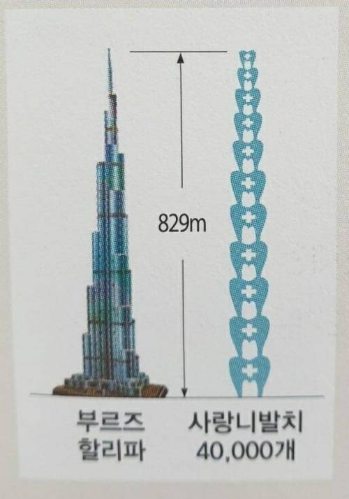 어느 치과의 홍보 멘트.jpg