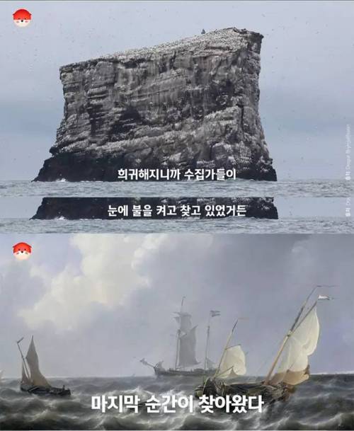 [스압] 펭귄이라는 이름의 원래 주인.jpg