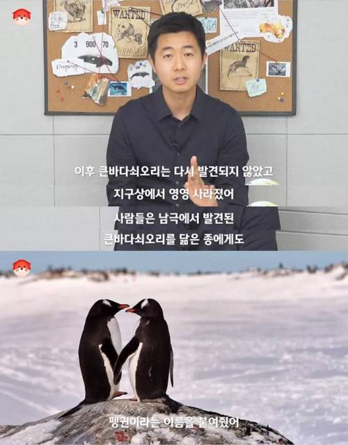 [스압] 펭귄이라는 이름의 원래 주인.jpg