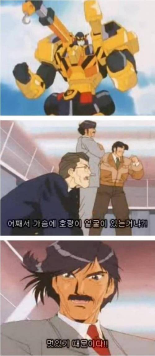 가슴에 호랑이가 있는 이유.jpg