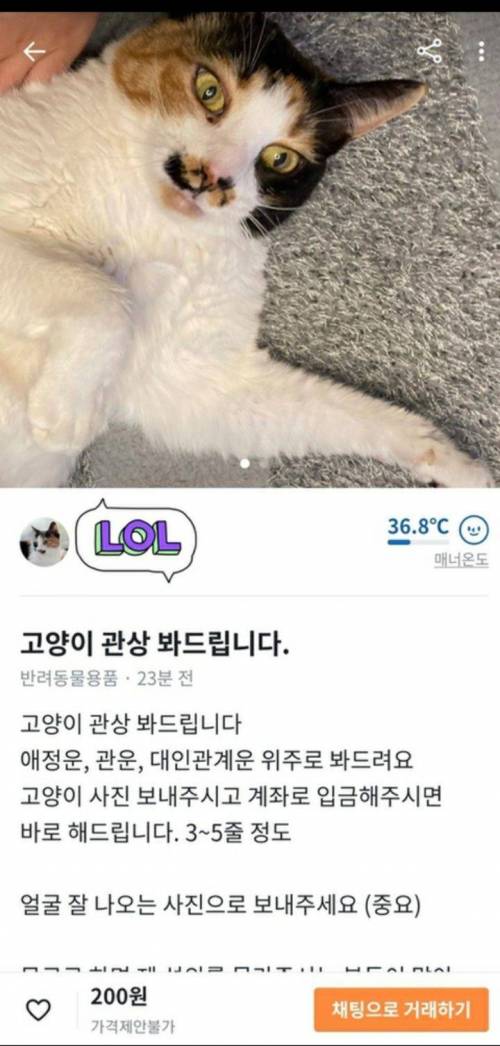 당근마켓 관상가.jpg