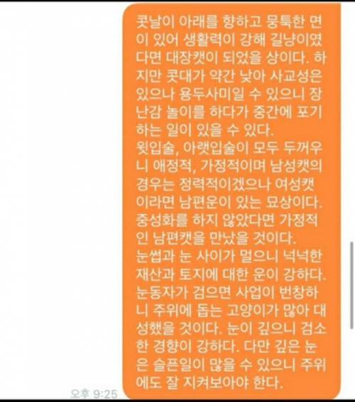 당근마켓 관상가.jpg