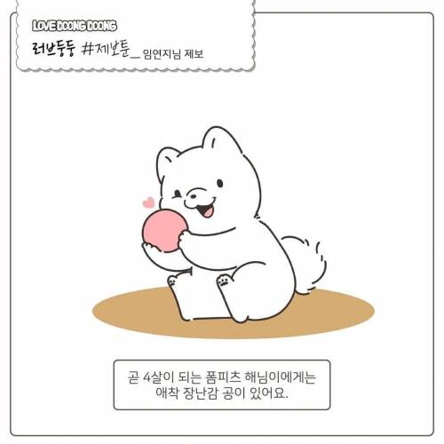 애착공을 잃어버린 커여운 댕댕.manhwa