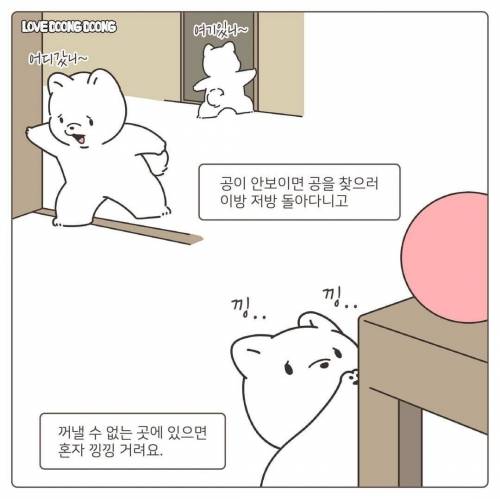 애착공을 잃어버린 커여운 댕댕.manhwa