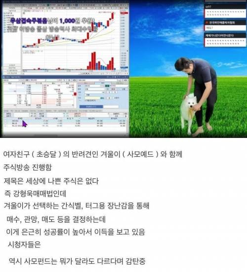 특이점이 온 주식 방송.jpg