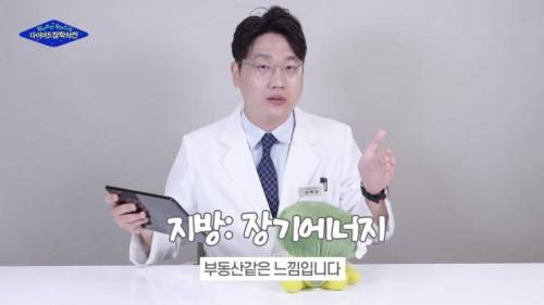 탄단지에 대한 확실한 설명.gif