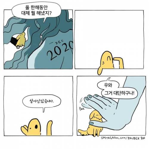 2020년 한해 다 갔는데 대체 뭐했어?.jpg