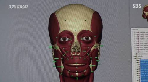 두개골로 변사자 생전 얼굴 복원하는 과정..jpg