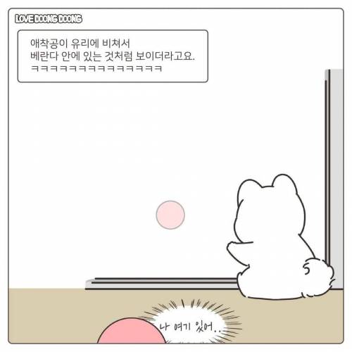 애착공을 잃어버린 커여운 댕댕.manhwa