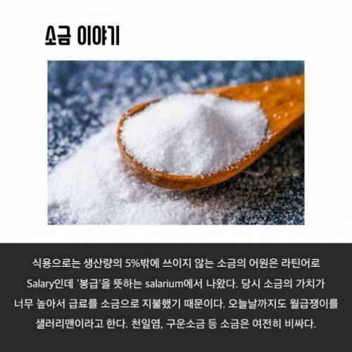 알아두면 언젠가 쓸모있을거같은 상식들