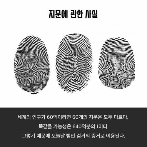 알아두면 언젠가 쓸모있을거같은 상식들