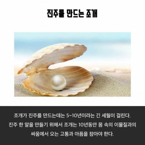 알아두면 언젠가 쓸모있을거같은 상식들