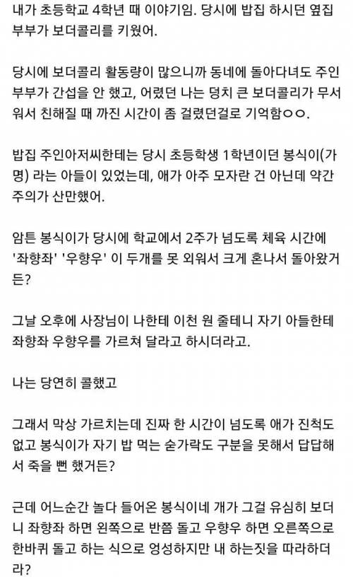 보더콜리 지능 보고 감탄한 썰.txt