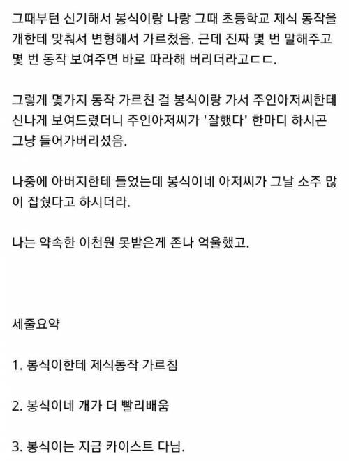 보더콜리 지능 보고 감탄한 썰.txt