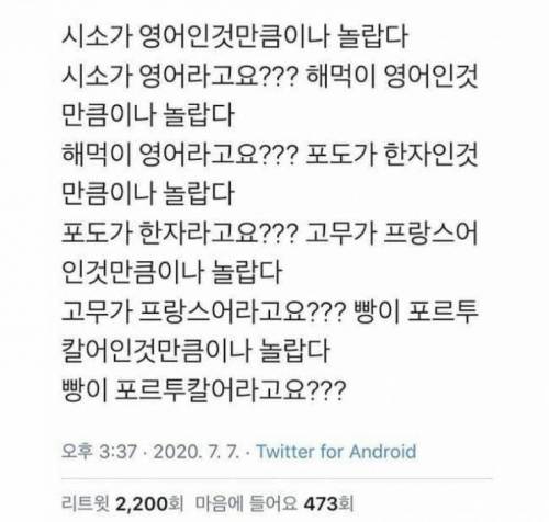 시소가 영어라고요?