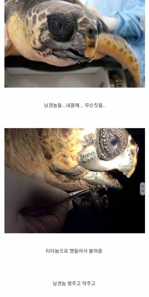 [스압] 인간한테 납치되서 눈떠보니.jpg