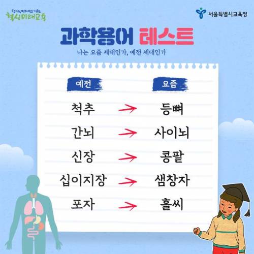 충격과 공포의 신구세대 용어