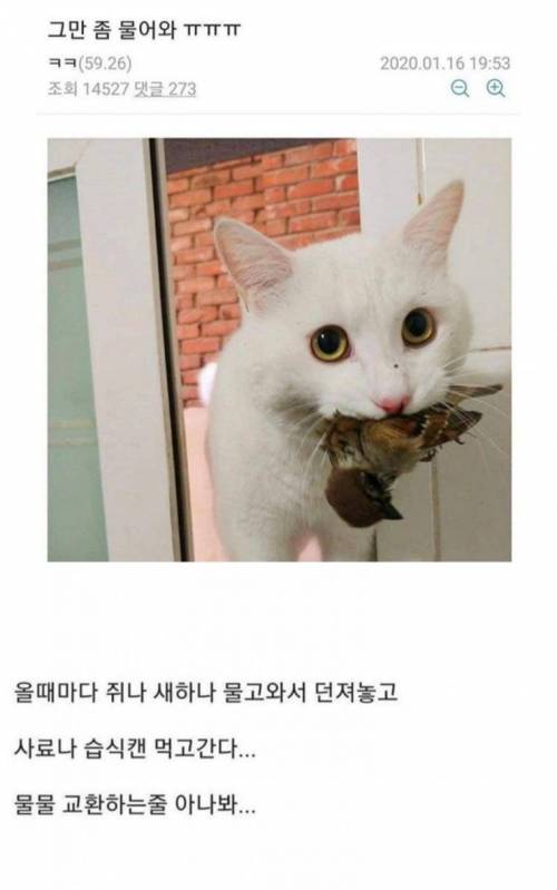 잘못된 물물교환.jpg