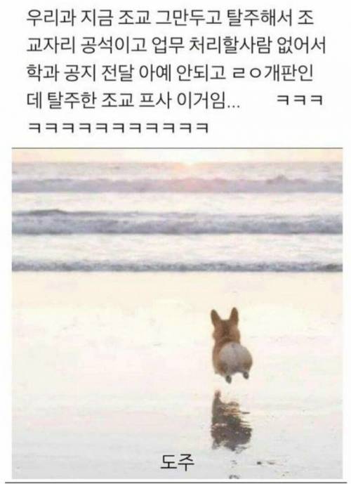 탈주한 대학원생 카톡프사.jpg