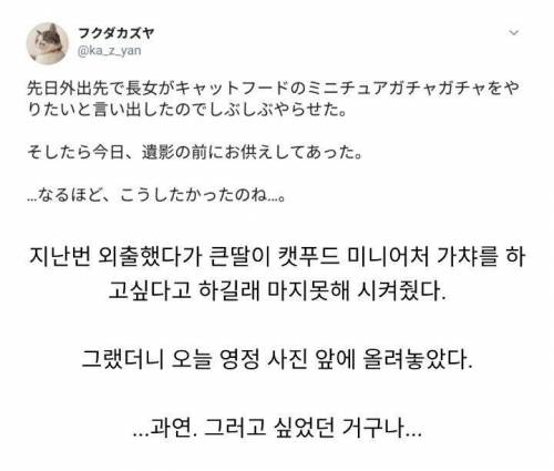 딸이 미니어쳐 캣푸드를 뽑고 싶어한 이유.jpg