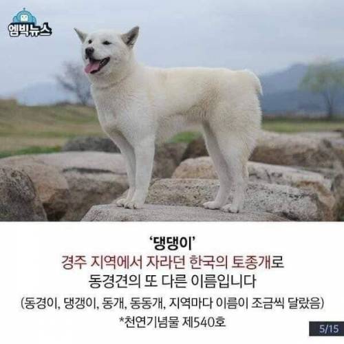 의외로 실제로 있는 이름