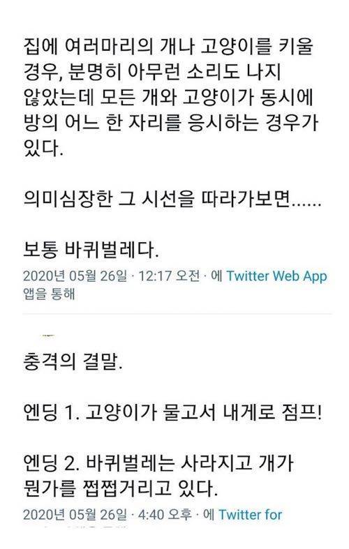 무시무시한 괴담.jpg