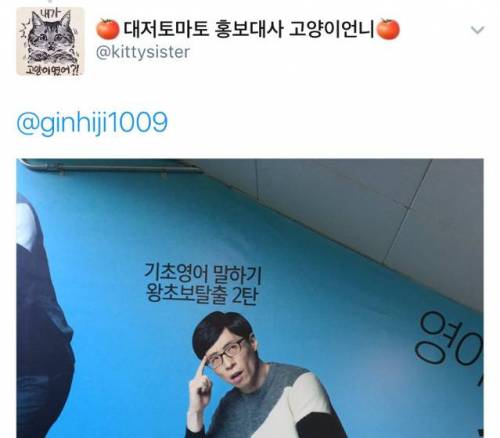 디자인과를 괴롭히는 광고.twt