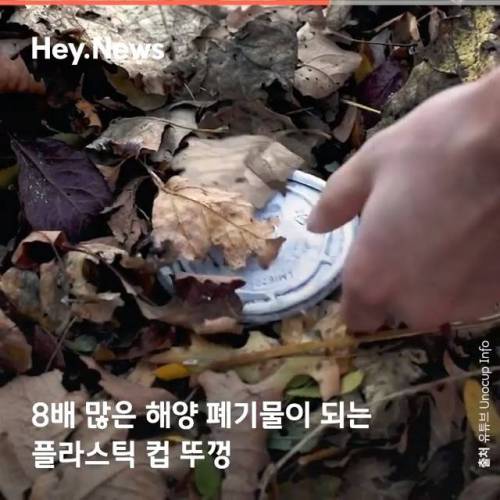 [스압] 플라스틱 뚜껑이 필요업는 테이크아웃 컵.jpg