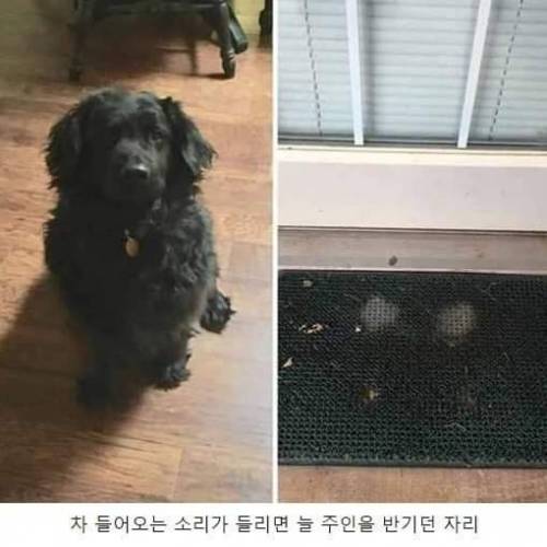 세월의 흔적.jpg