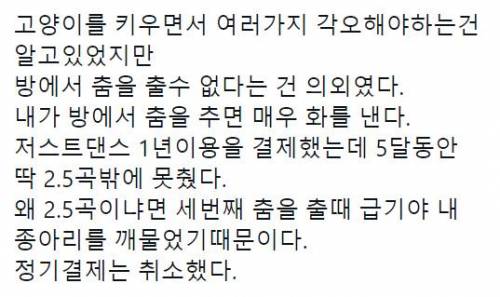 고양이를 키우면서 여러가지 각오해야 하는 건 알고 있었지만..