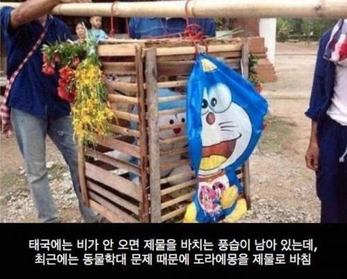 태국의 동물학대에 대한 대처.jpg