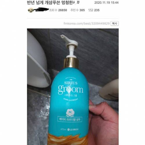 반년 넘게 개샴푸쓴 사람.jpg